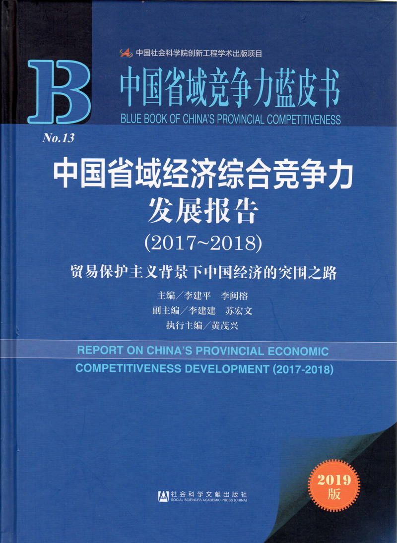 白丝嫩逼插入国产的中国省域经济综合竞争力发展报告（2017-2018）